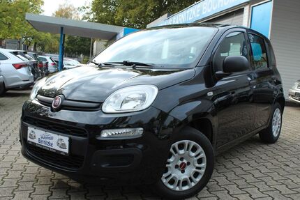 Fiat Panda 71.380 km 8.190 &euro; Bochum 44866