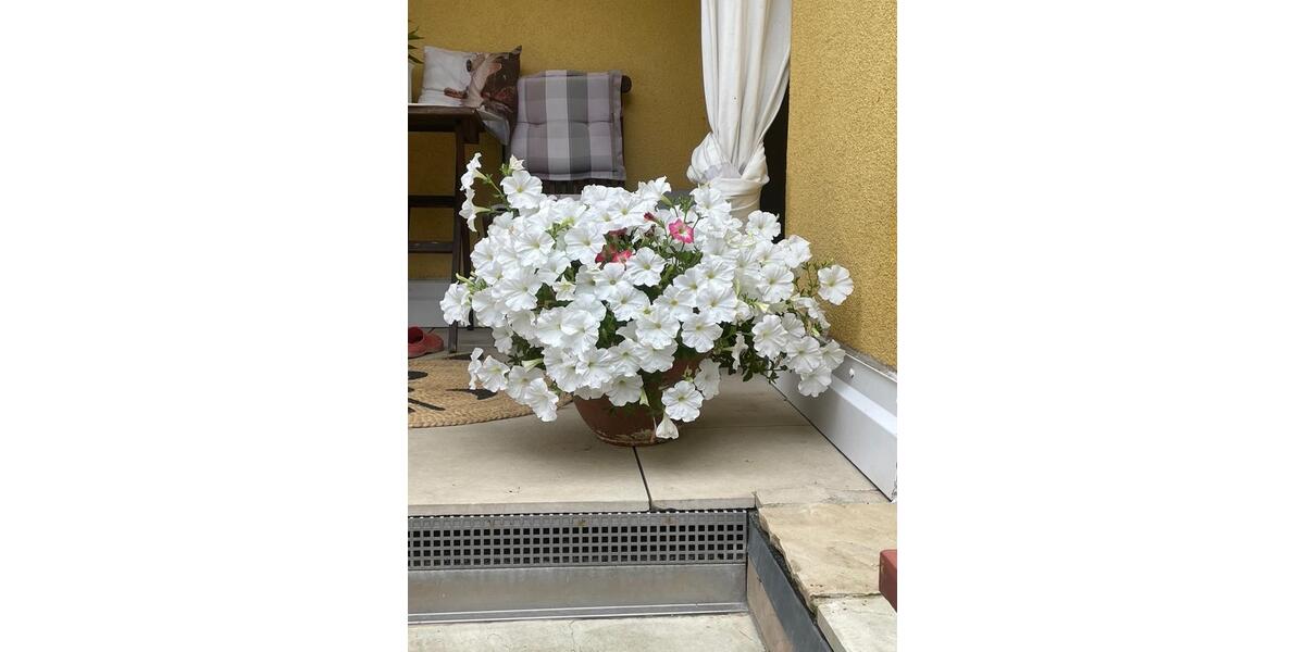 Einfamilienhaus Heppenheim (Bergstraße) - 6.5 Zimmer, 140 m&sup2;, 490.000&euro; | Angebot:26535049