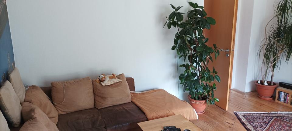Einfamilienhaus Salzgitter Ortschaft Nord - 329.000&euro; | Angebot:27120539