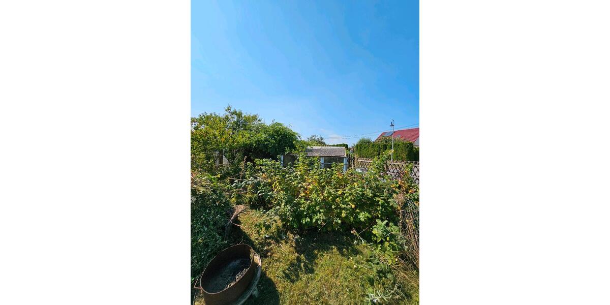Einfamilienhaus Nordhausen - 6 Zimmer, 138 m&sup2;, 89.000&euro; | Angebot:25936231