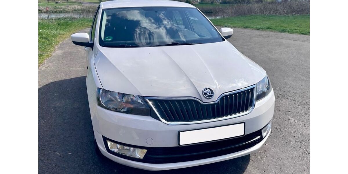Skoda Rapid 134.000 km 6.990 &euro; Grimma 04668