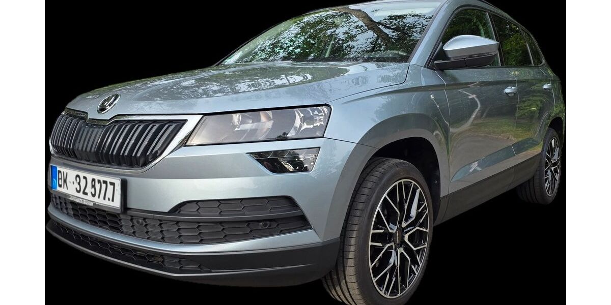 Skoda Karoq 47.000 km 15.950 &euro; Ravensburg 88213