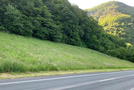 Grundstück Senheim - 14.450&euro; | Angebot:11233803