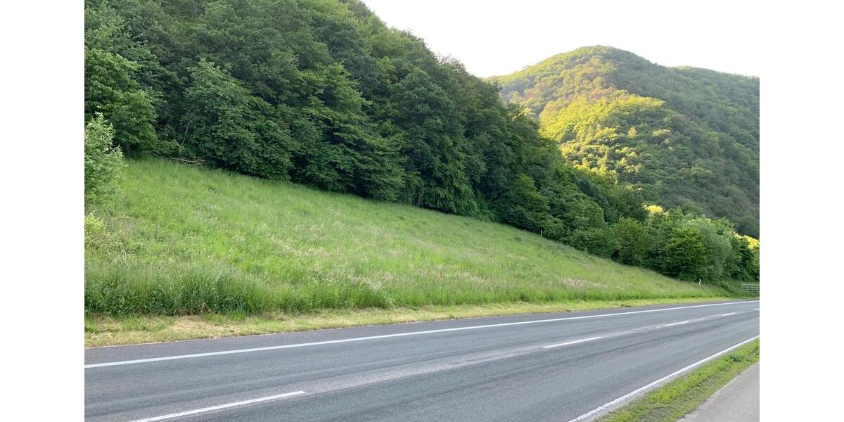 Grundstück Senheim - 14.450&euro; | Angebot:11233803