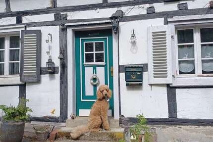 Haus zum Kaufen in Bergneustadt 135.000 € 189 m² 7 zimmer