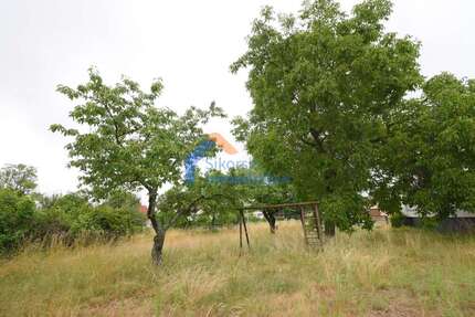 Grundstück Fünfeichen Fünfeichen - 50.000&euro; | Angebot:22507469