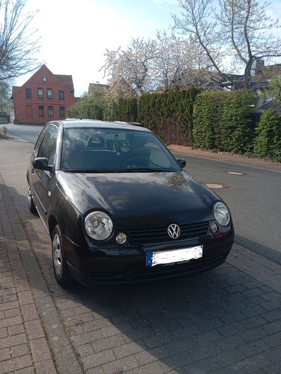 Lupo