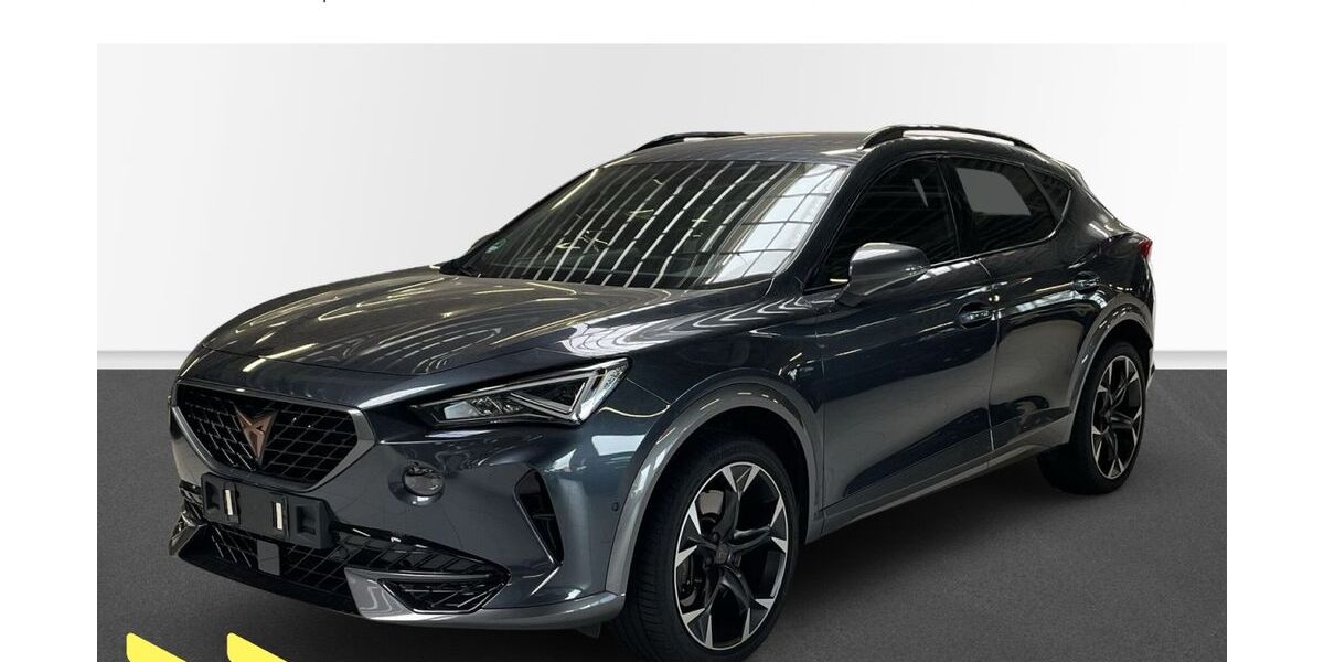 Cupra Formentor 16.930 km 34.480 &euro; Heilbronn 74076