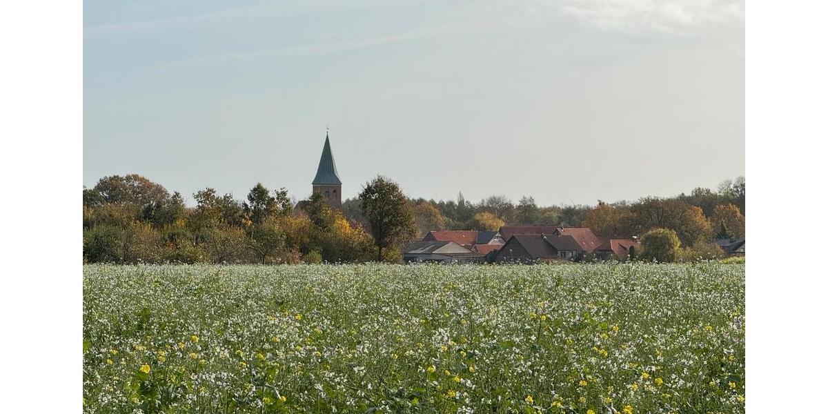 Einfamilienhaus Lüchow (Wendland) - 3 Zimmer, 100 m&sup2;, 239.000&euro; | Angebot:26252841
