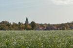 Einfamilienhaus Lüchow (Wendland) - 3 Zimmer, 100 m&sup2;, 239.000&euro; | Angebot:26252841
