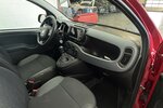 Fiat Panda Cross Red 1.0 Hybrid 1.Hand Neuwertig! 38.820 km 11.740 &euro; Lich 35423