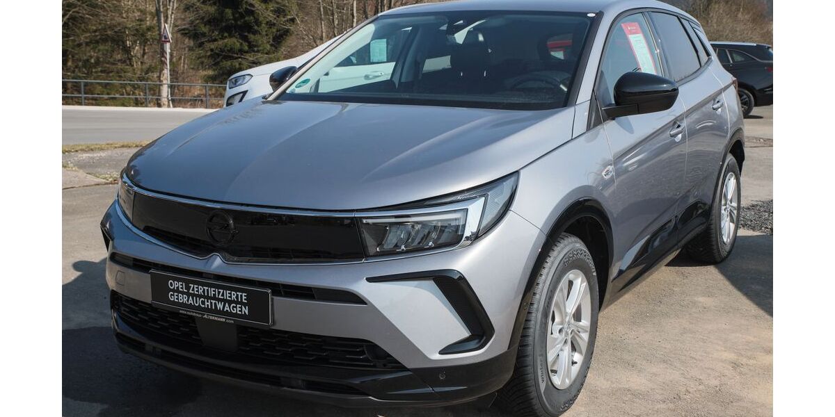 Opel Grandland (X) 17.980 km 21.980 &euro; Neuhaus 98724