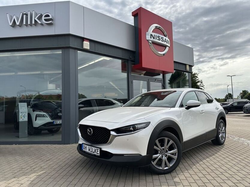 CX-30