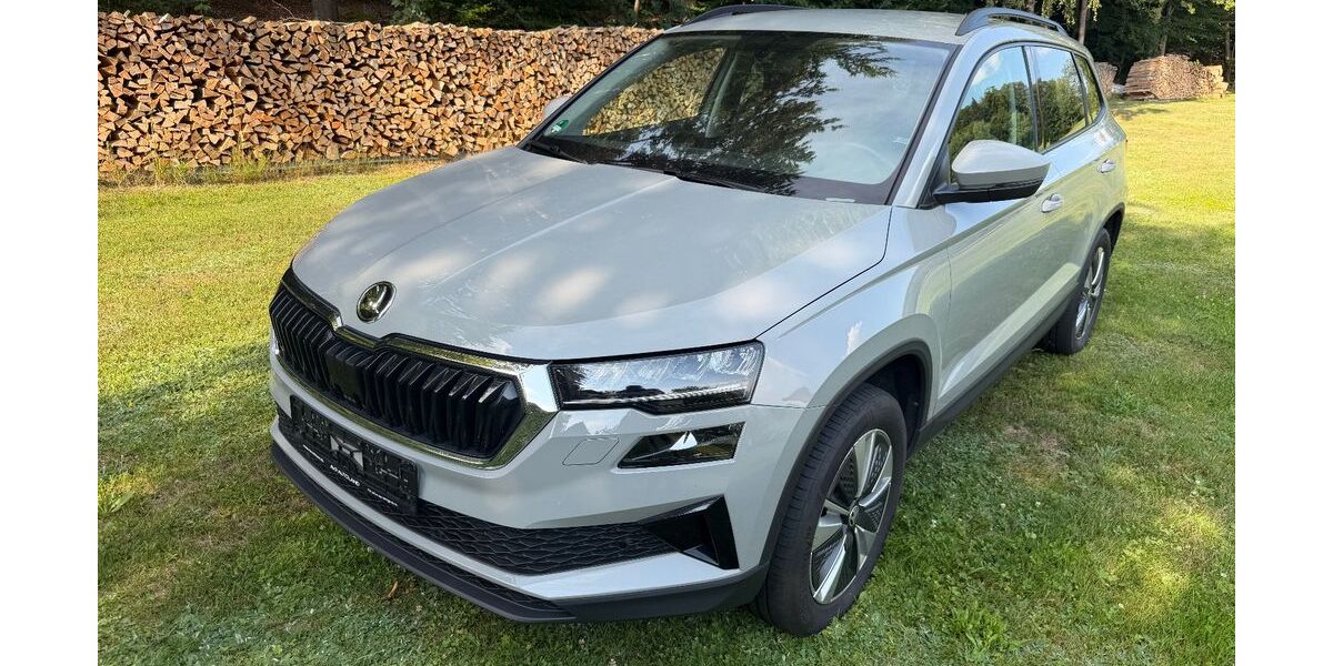 Skoda Karoq 73.600 km 25.499 &euro; Kirchdorf i. Wald 94261