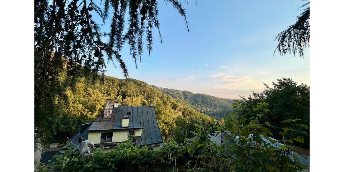 Mehrfamilienhaus, Wohnhaus Arzberg - 9 Zimmer, 240 m&sup2;, 470.000&euro; | Angebot:26977955