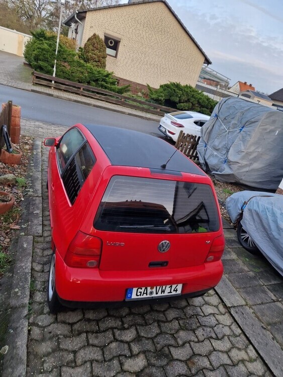 Lupo