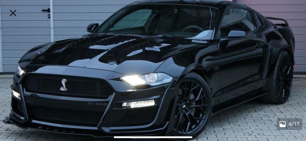 Mustang