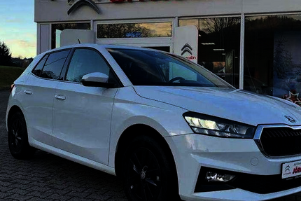 Skoda Fabia 8.700 km 18.190 &euro; Lauter-Bernsbach 08315