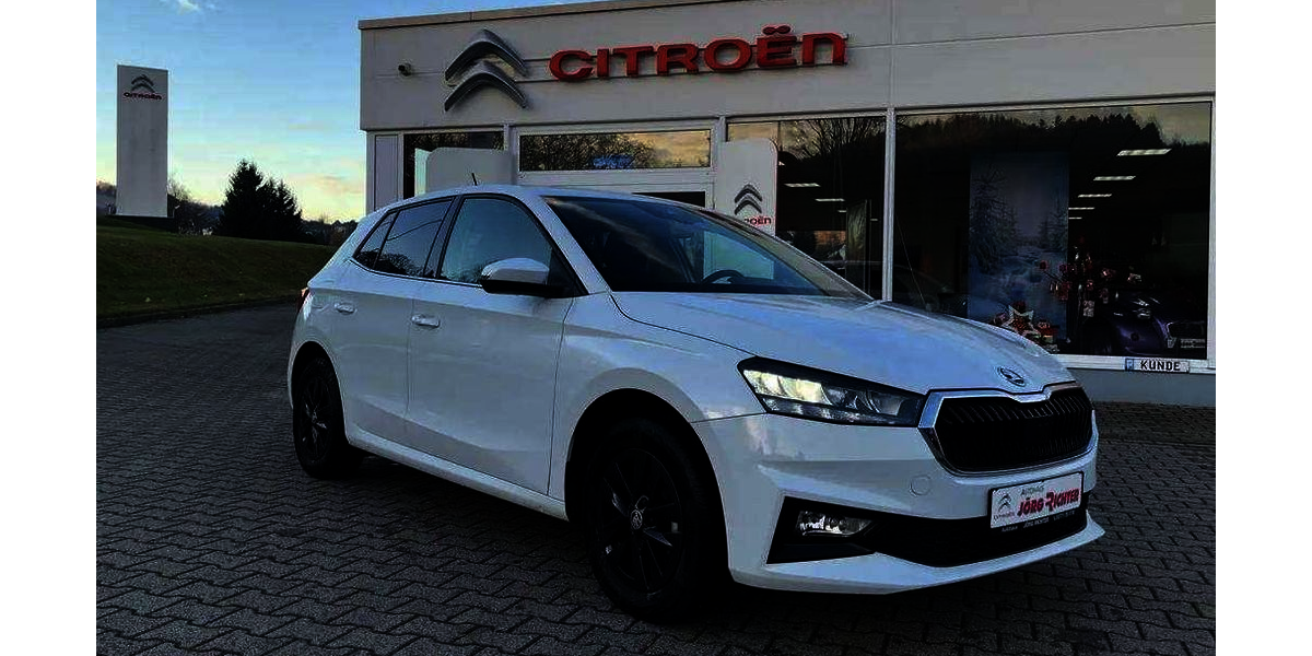 Skoda Fabia 8.700 km 18.190 &euro; Lauter-Bernsbach 08315