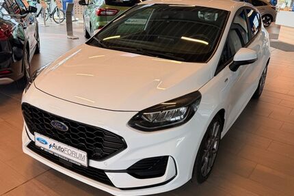 Ford Fiesta 17.500 km 19.590 &euro; Windischleuba 04603