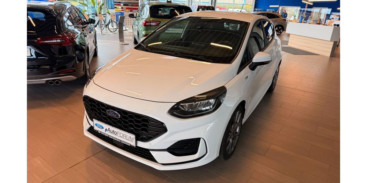 Ford Fiesta 17.500 km 19.590 &euro; Windischleuba 04603