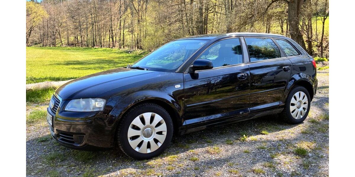 Audi A3 259.000 km 2.799 &euro; Schleiz 07907