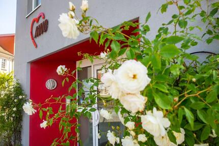 Wohnung Grimmen - 1 Zimmer, 31 m&sup2;, 325&euro; | Angebot:26265847
