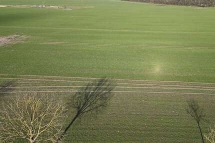 Grundstück zu verkaufen in Salzwedel 80.000 € 3000 m² zimmer