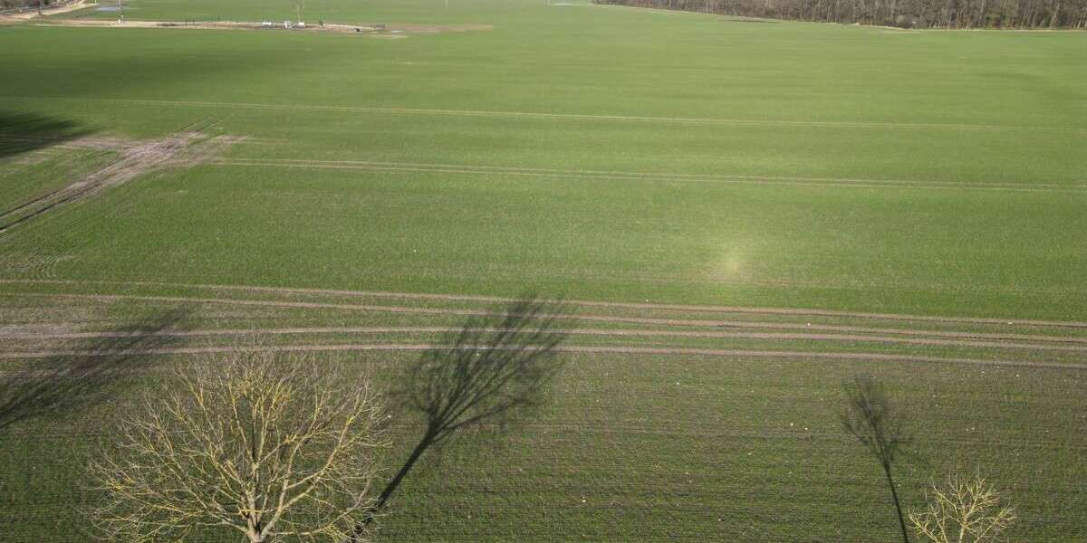 Grundstück zu verkaufen in Salzwedel 80.000 € 3000 m² zimmer