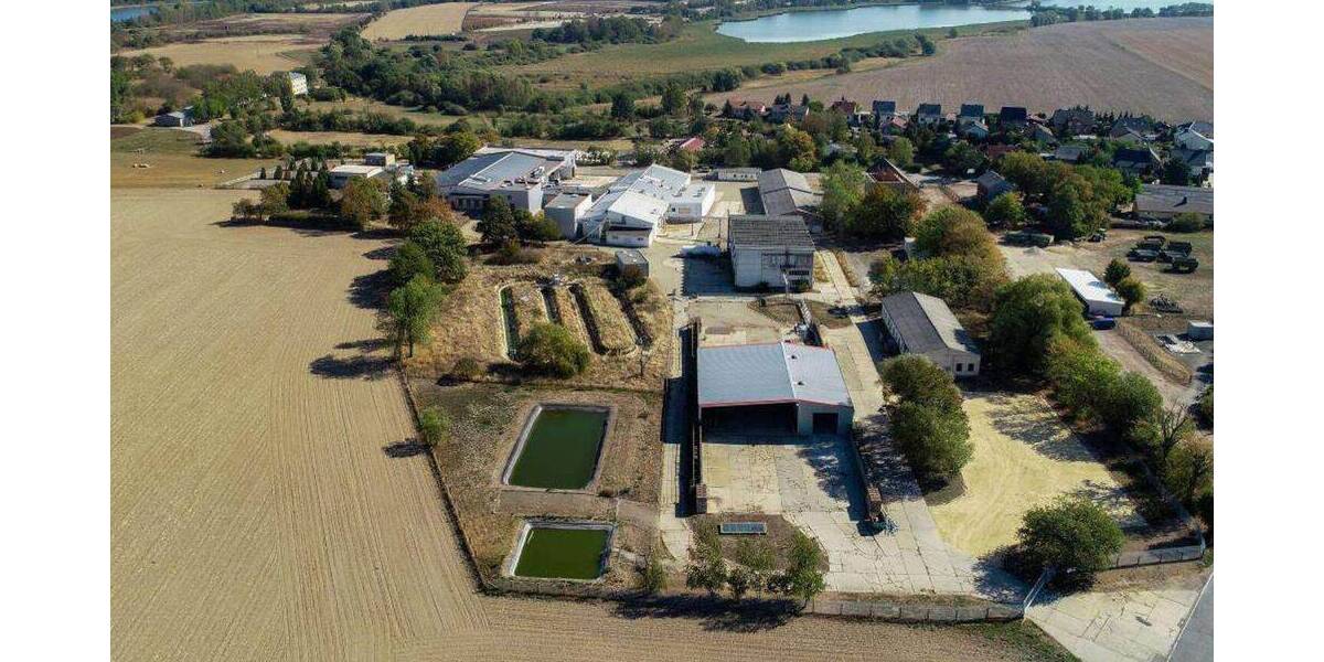 Gewerbeobjekt Grimma Mutzschen - 1.900.000&euro; | Angebot:25958961