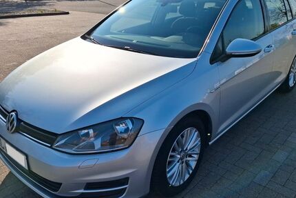 VW Golf 225.000 km 6.800 &euro; Winsen 21423