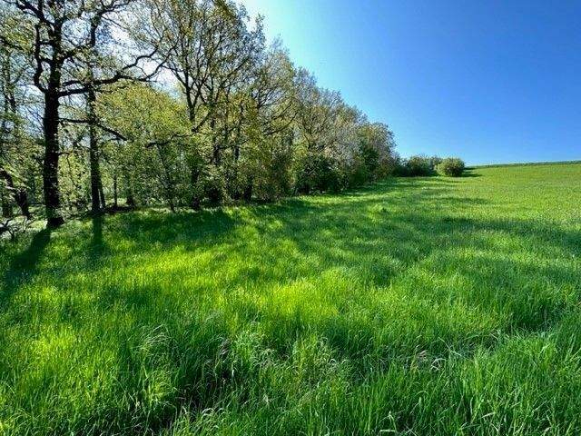 Grundstück Naumburg (Saale) Flemmingen - 79.675&euro; | Angebot:25818946