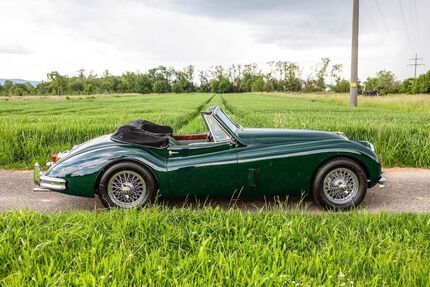 Jaguar XK