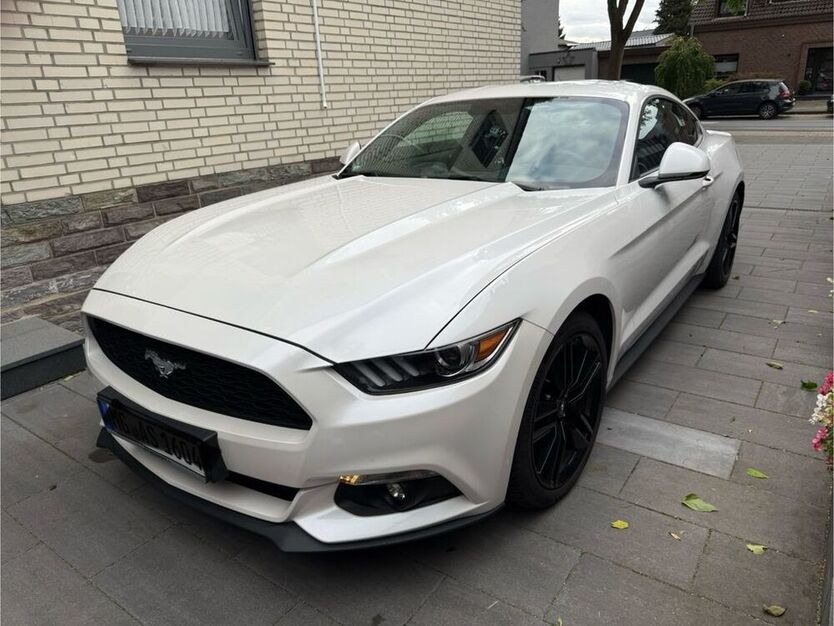 Mustang