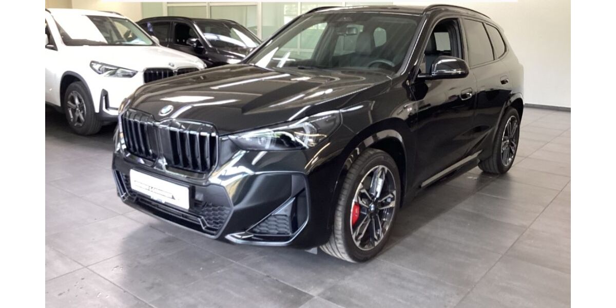 BMW X1 5.990 km 39.133 &euro; Pleisweiler-Oberhofen 76889
