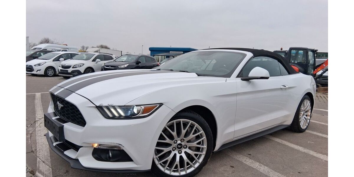 Ford Mustang 110.000 km 15.900 &euro; Mittenwalde 15749