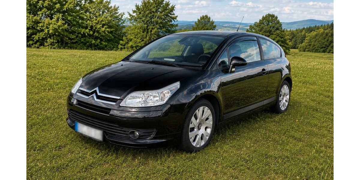 Citroen C4 230.780 km 750 &euro; Lauter-Bernsbach 08315