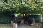 Einfamilienhaus Esens - 4 Zimmer, 100 m&sup2;, 349.000&euro; | Angebot:26745270