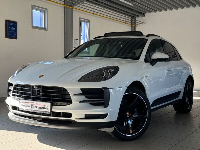 Macan