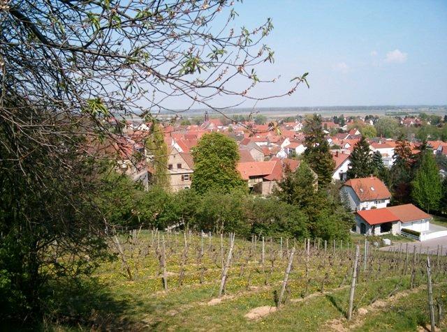Etagenwohnung Mettenheim - 4 Zimmer, 108 m&sup2;, 994&euro; | Angebot:26403602