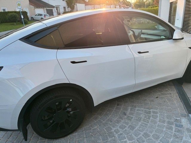 Model Y