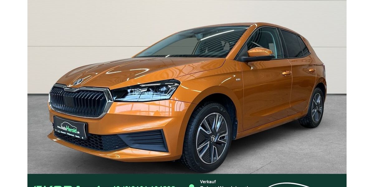 Skoda Fabia 44.310 km 17.290 &euro; Leinefelde-Worbis 37339