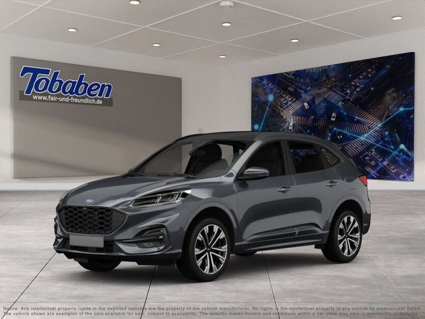Kuga