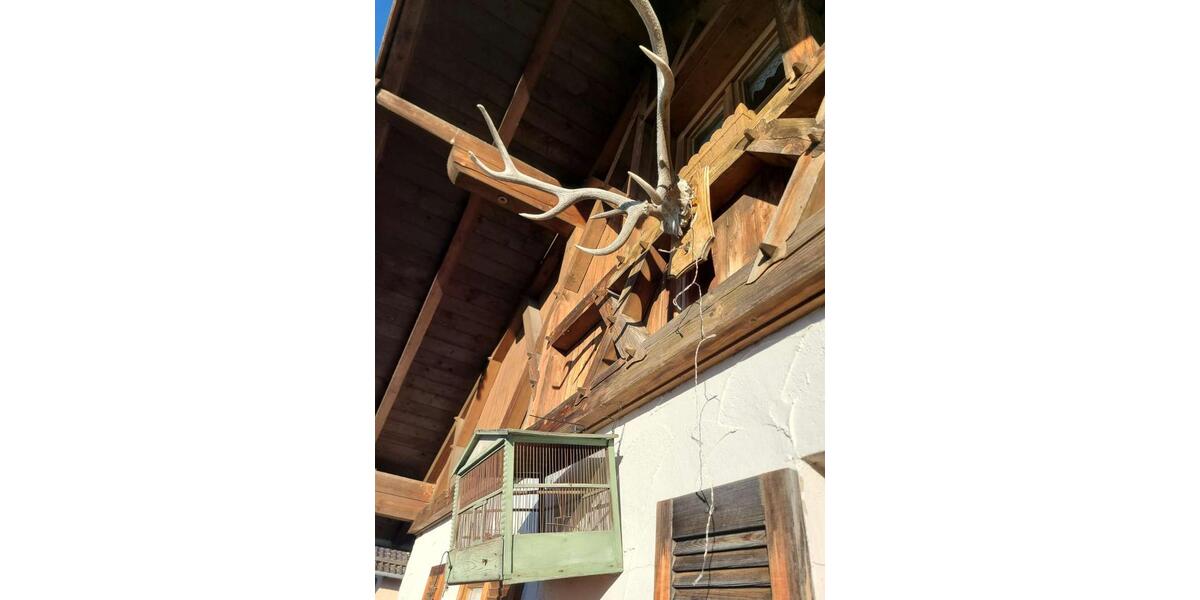 3-Zimmerwohnung im 1.OG mit 2 Balkonen EBK und Kachelofen 3 zimmer