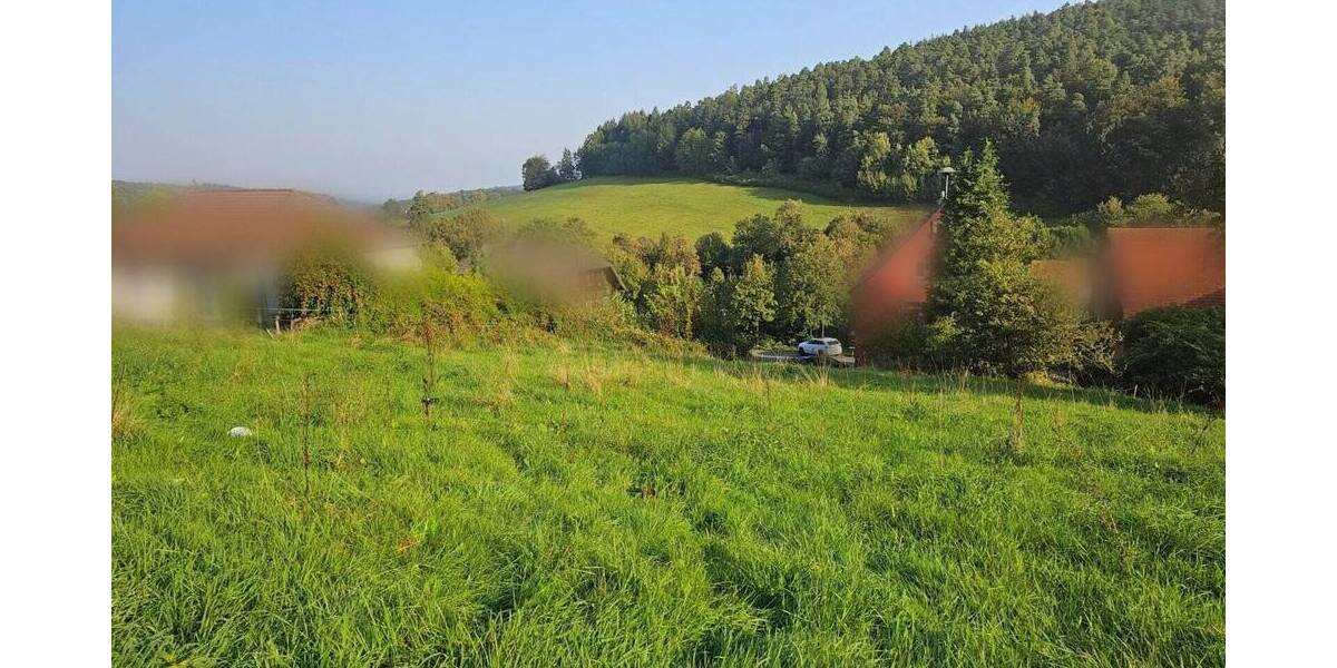 Grundstück Erbach Erbuch - 89.000&euro; | Angebot:23958016