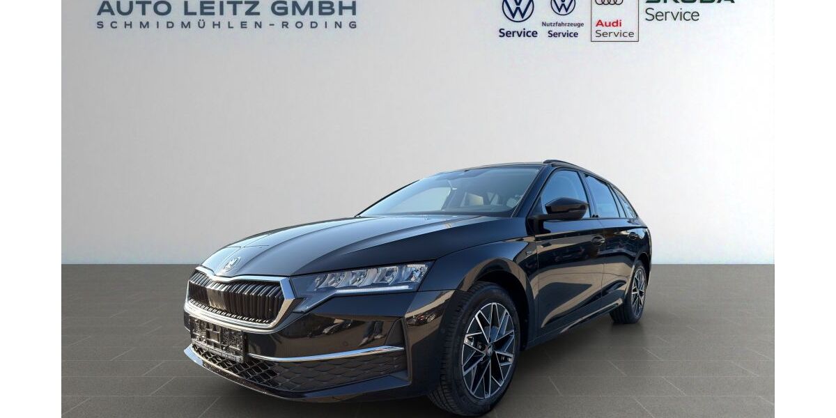 Skoda Octavia 3.620 km 31.870 &euro; Schmidmühlen 92287