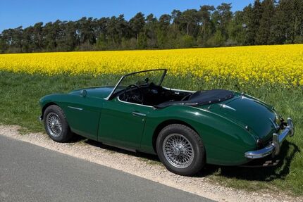 Austin Healey Andere