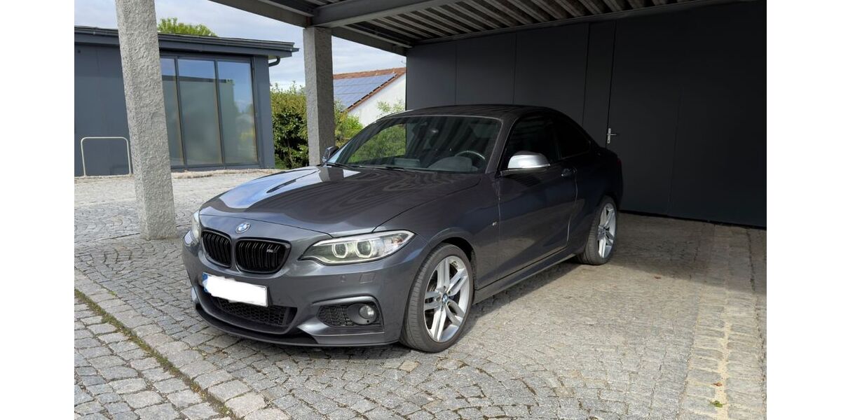 BMW 220 179.000 km 16.000 &euro; Bernhardswald 93170