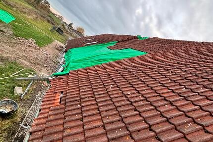 Einfamilienhaus Doppelhaushälfte 11 zimmer