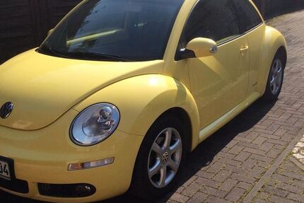 VW Beetle